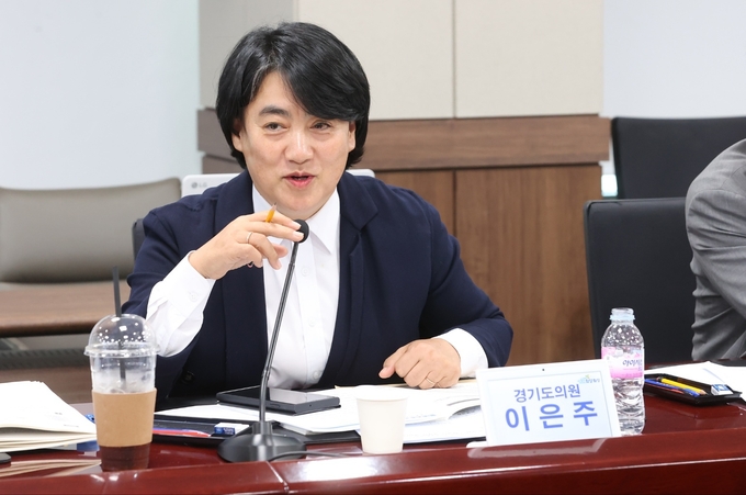 경기도의원 이은주 (더불어민주당)