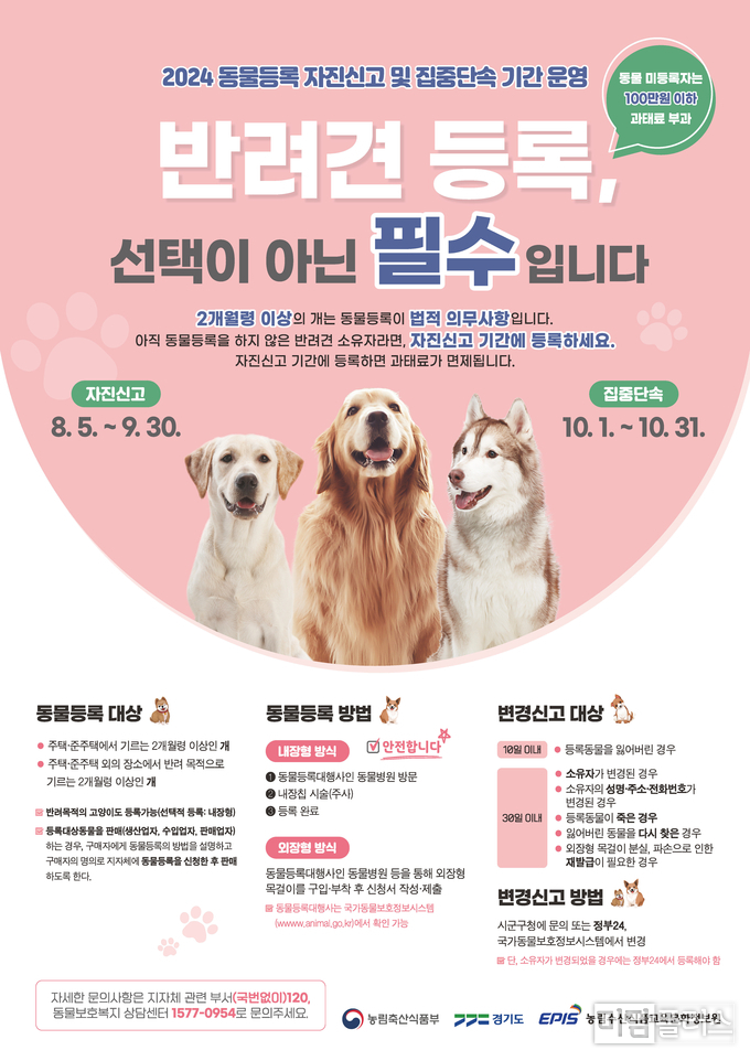 동물등록 자진신고 기간