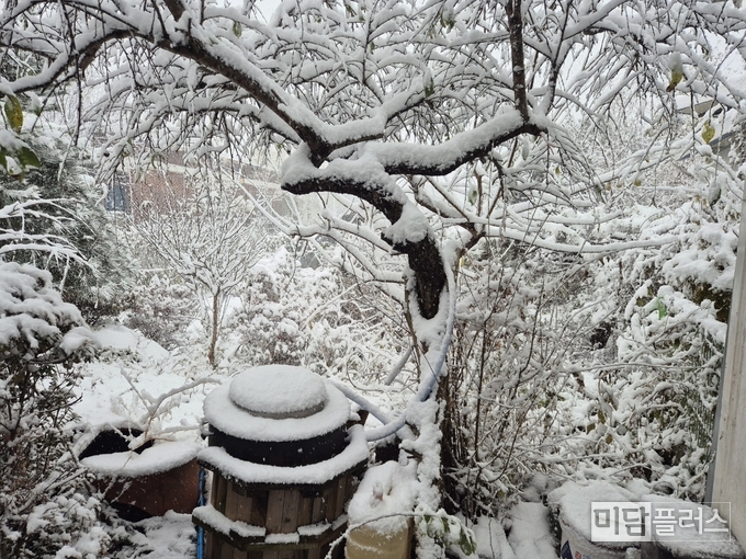 사진 지역 주민 제공