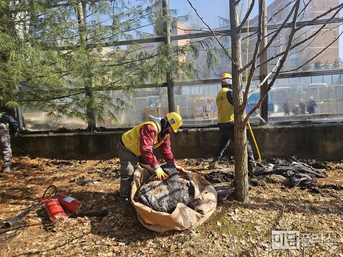 도로, 공사 현장 자체 진화 현장 사진
